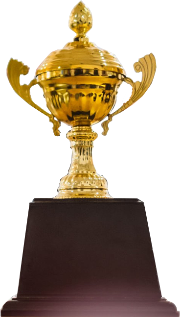 Collaborative Innovation Across Disciplines